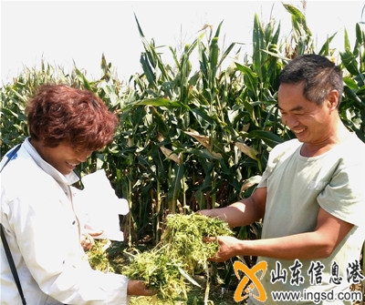 看秸稈_副本.jpg